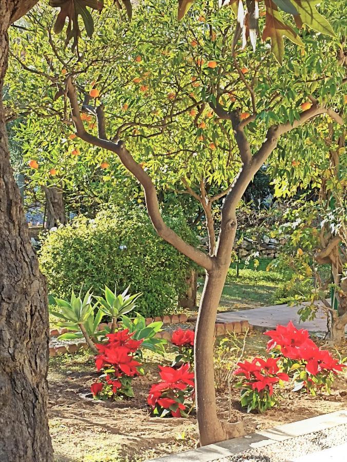 Seafront Apartments Garden House Taormina Zewnętrze zdjęcie