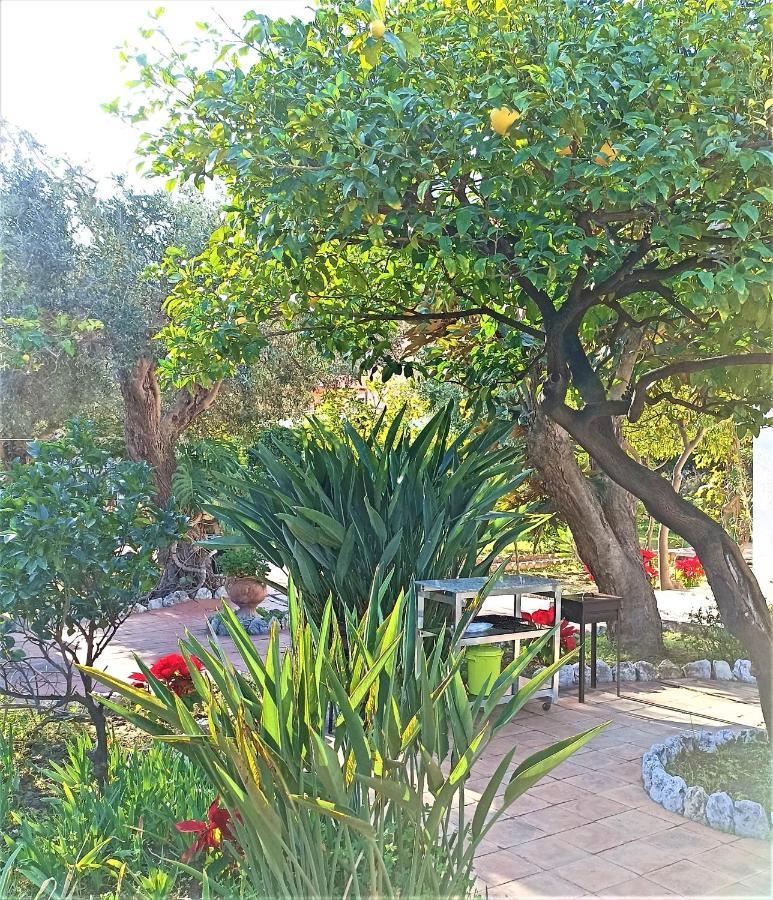 Seafront Apartments Garden House Taormina Zewnętrze zdjęcie